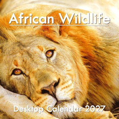 2027 Desktop/Flip Tent Calendar